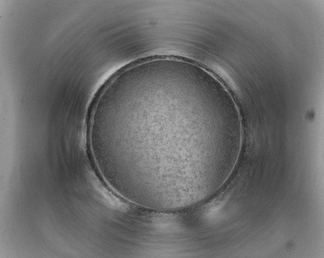 X0000092051076200709191116