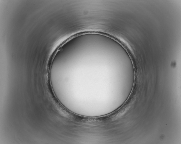 X0000092051077200709191116