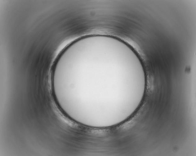 X0000092051078200709191116