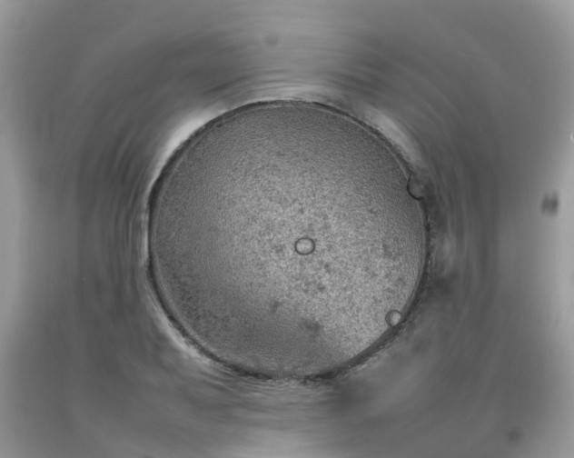 X0000092051079200709191116