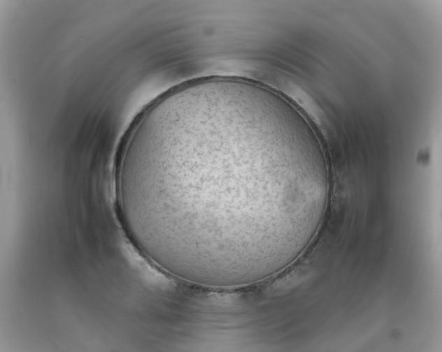 X0000092051080200709191116