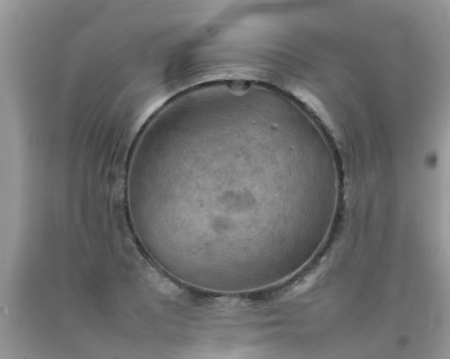 X0000092051081200709191116