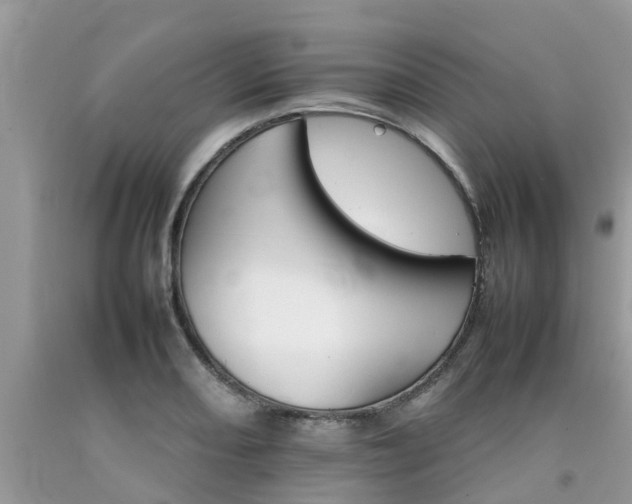 X0000092051082200709191116