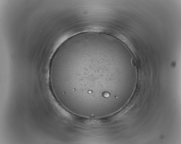 X0000092051083200709191116