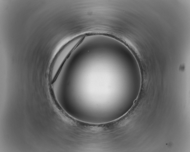 X0000092051085200709191116