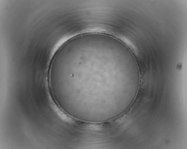 X0000092051086200709191116