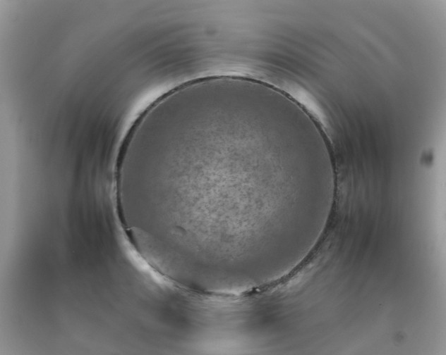 X0000092051088200709191116