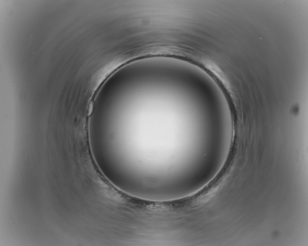 X0000092051089200709191116