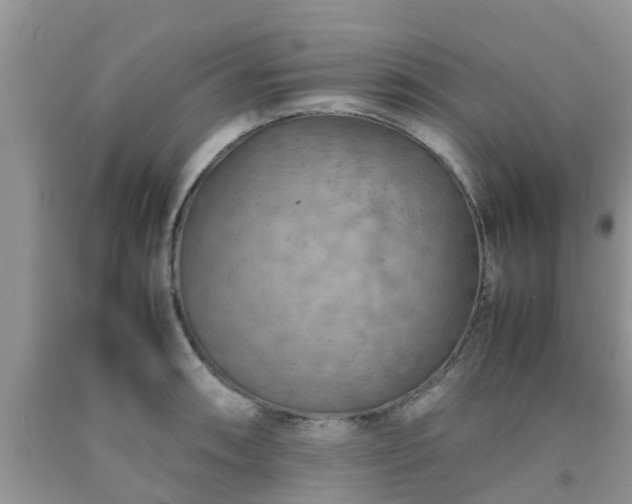 X0000092051090200709191116