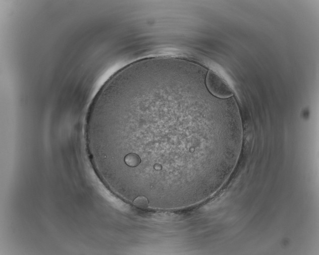 X0000092051091200709191116