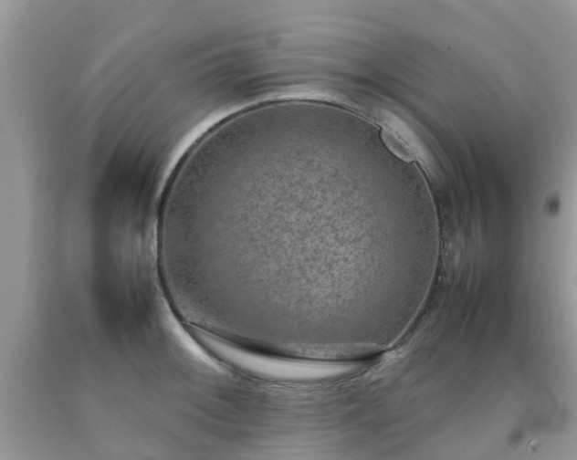 X0000092051092200709191116