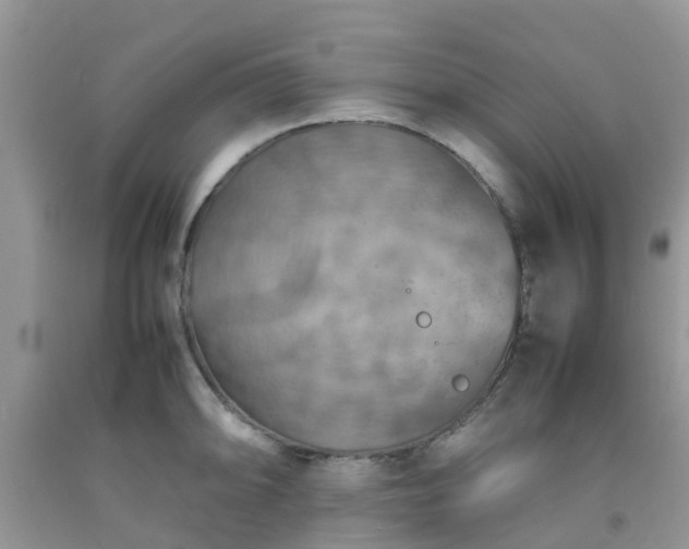 X0000092051094200709191116