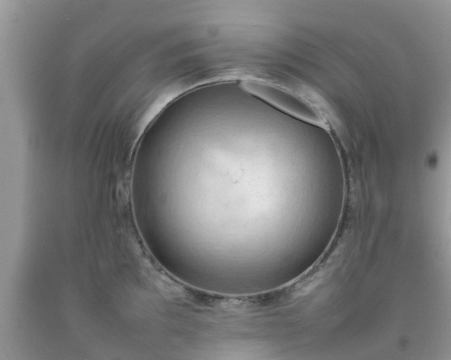 X0000092051097200709191116