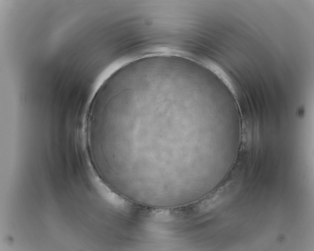 X0000092051098200709191116