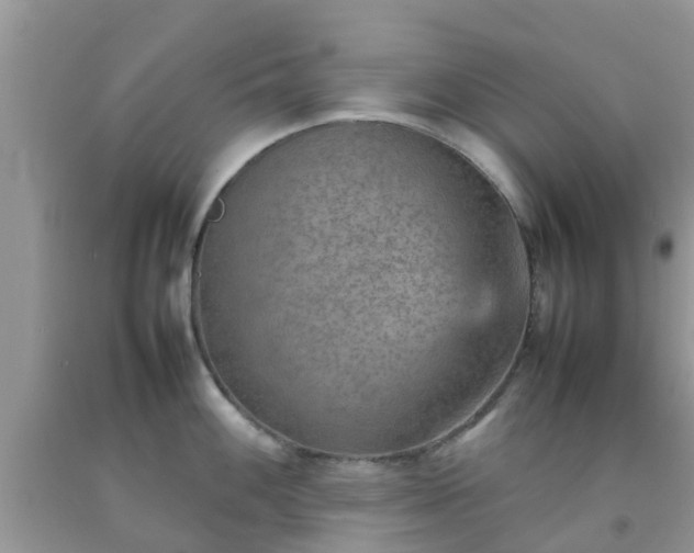 X0000092051100200709191116