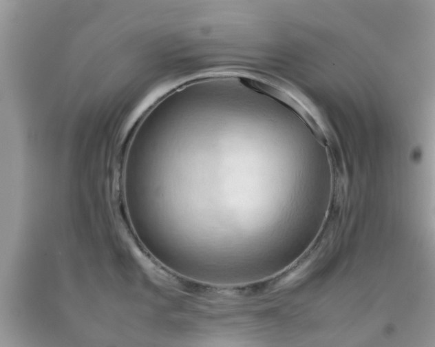 X0000092051101200709191116