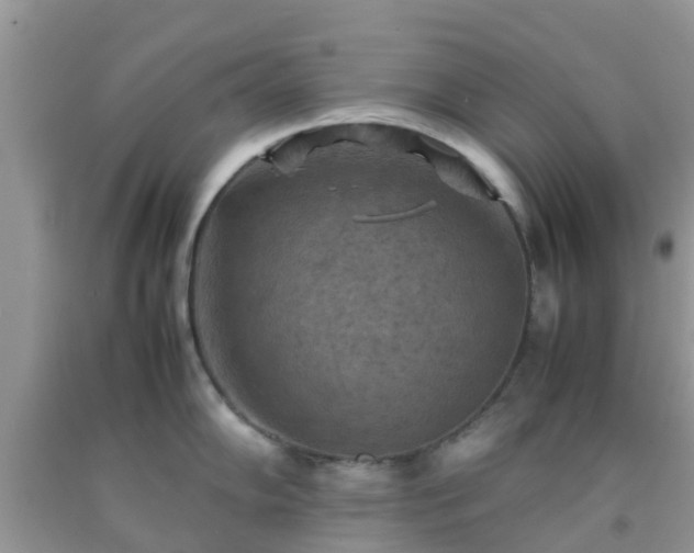 X0000092051102200709191116