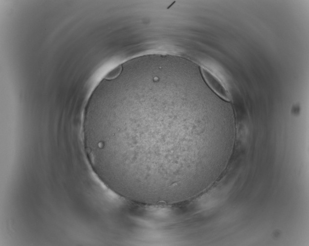 X0000092051103200709191116