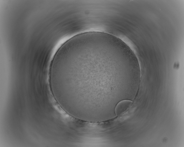 X0000092051104200709191116