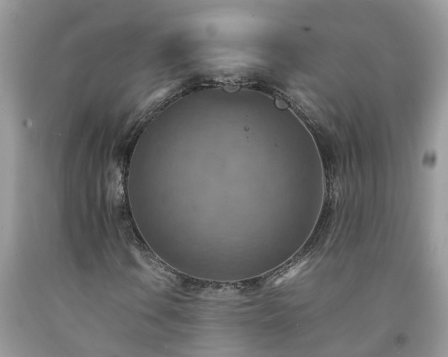 X0000092051106200709191115