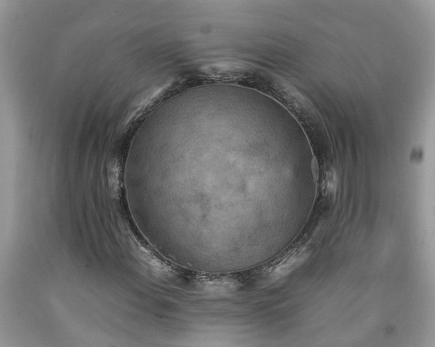 X0000092051108200709191115