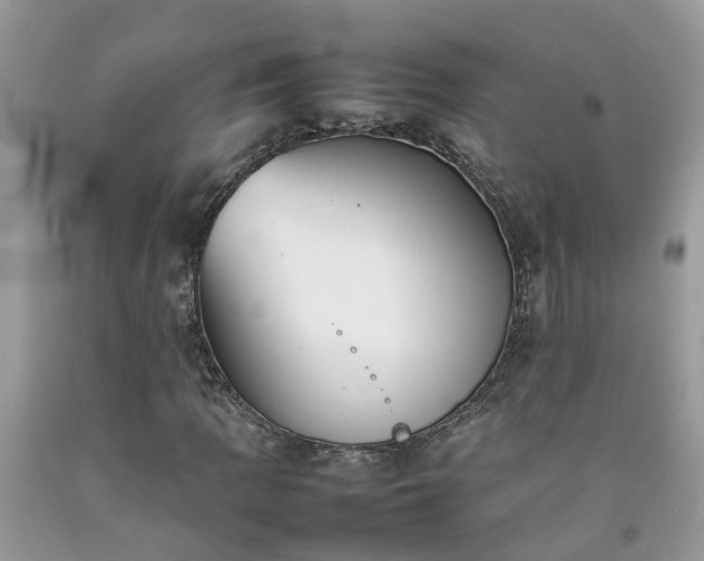 X0000092051109200709191115