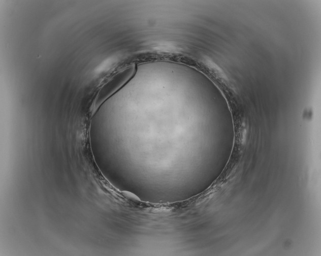 X0000092051110200709191115