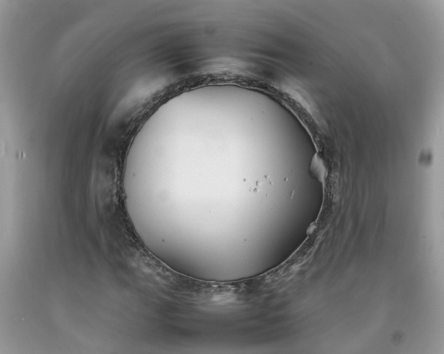 X0000092051111200709191115