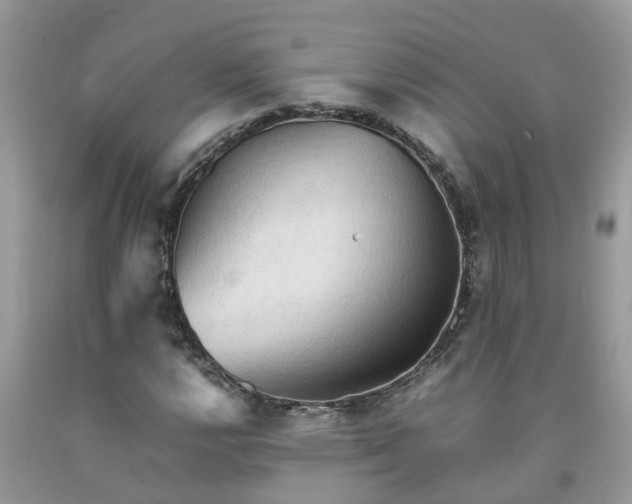 X0000092051112200709191115