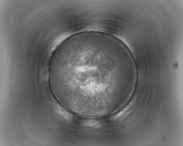 X0000092051115200709191115