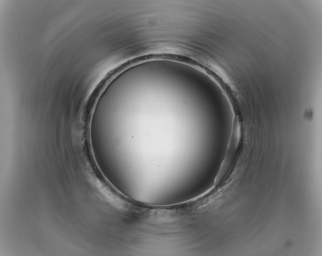 X0000092051116200709191115