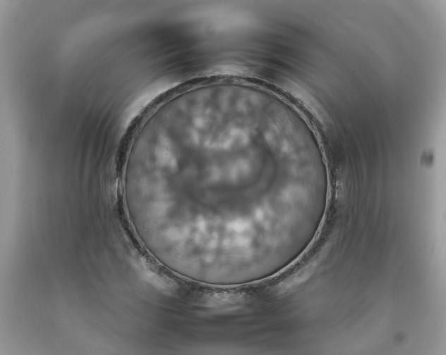 X0000092051117200709191115