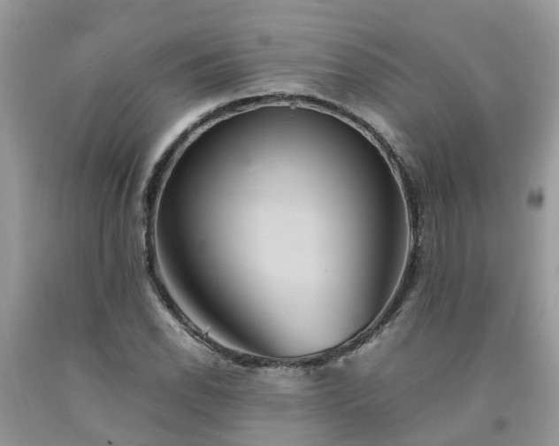 X0000092051118200709191115