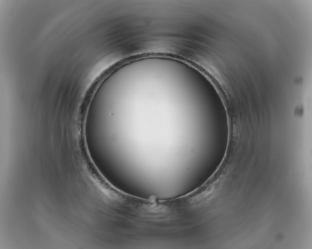 X0000092051119200709191115