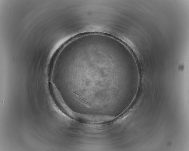 X0000092051120200709191115