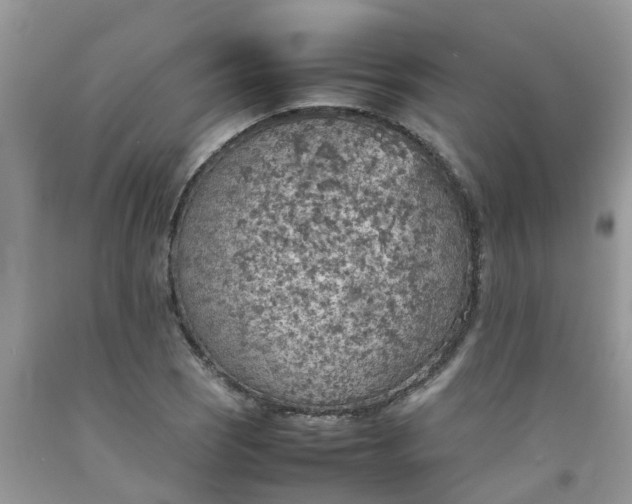 X0000092051121200709191115