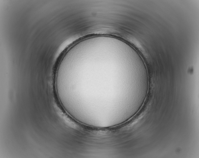 X0000092051122200709191115