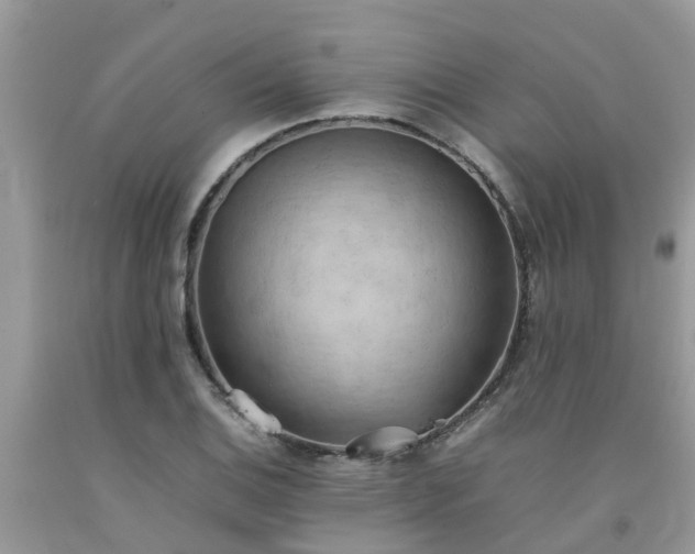 X0000092051124200709191115