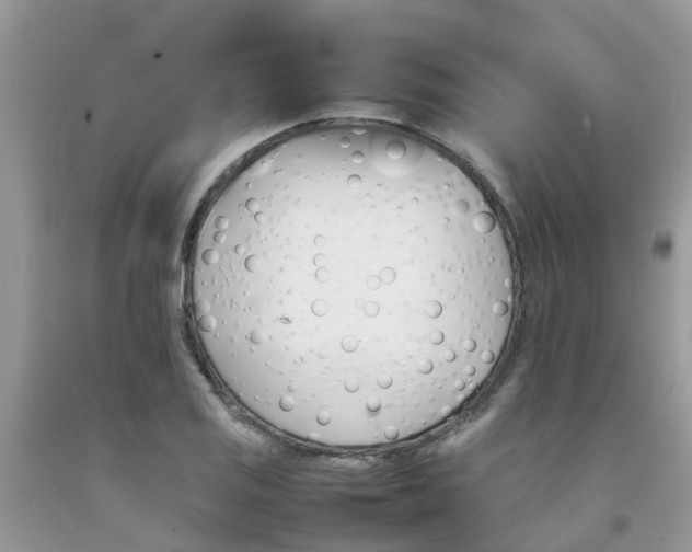 X0000092051125200709191115