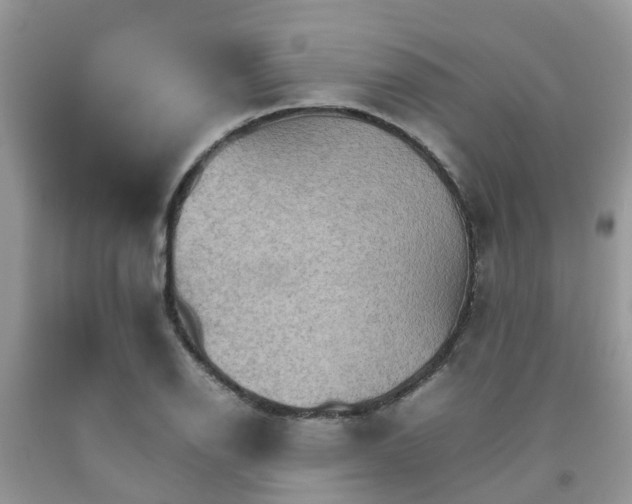 X0000092051126200709191115