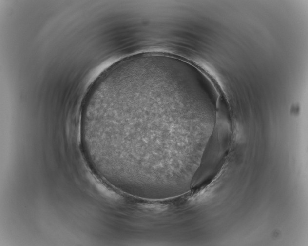 X0000092051127200709191115