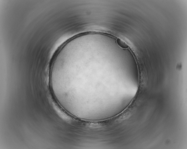 X0000092051128200709191115