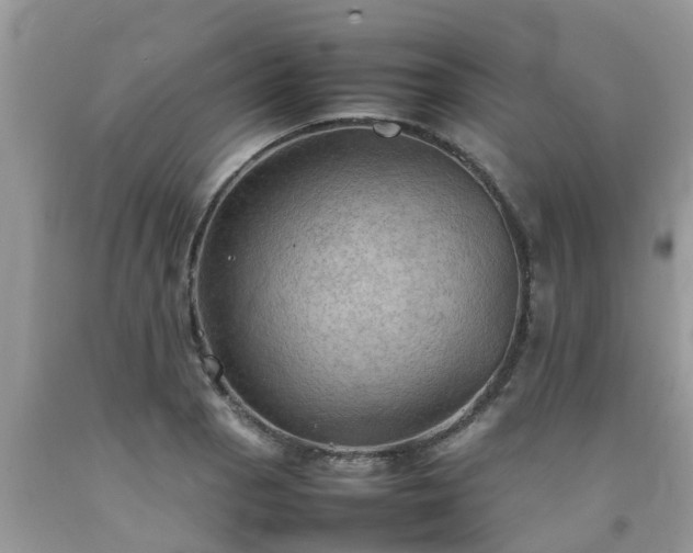 X0000092051129200709191115