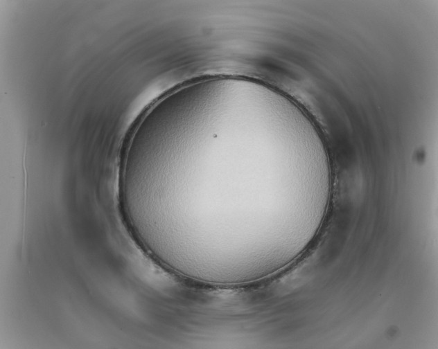 X0000092051130200709191115