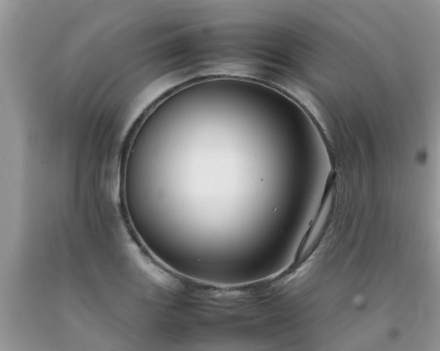 X0000092051131200709191115