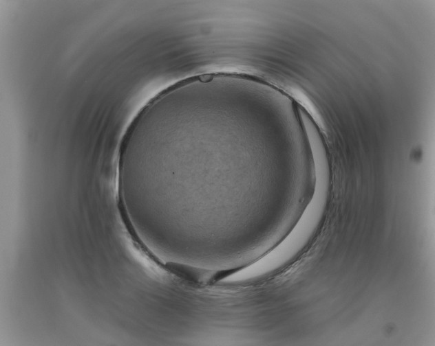 X0000092051132200709191115