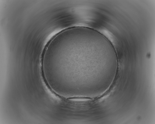 X0000092051133200709191115