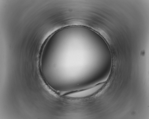 X0000092051134200709191115