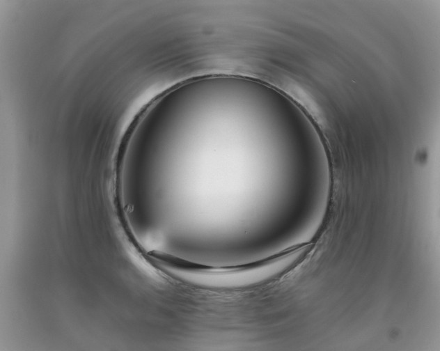 X0000092051136200709191115