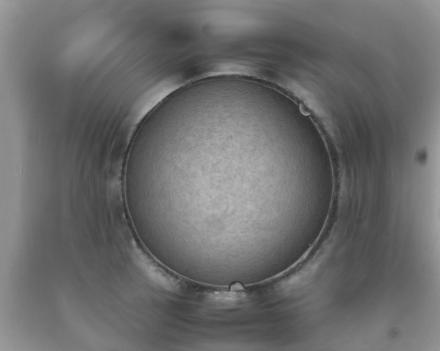 X0000092051137200709191115